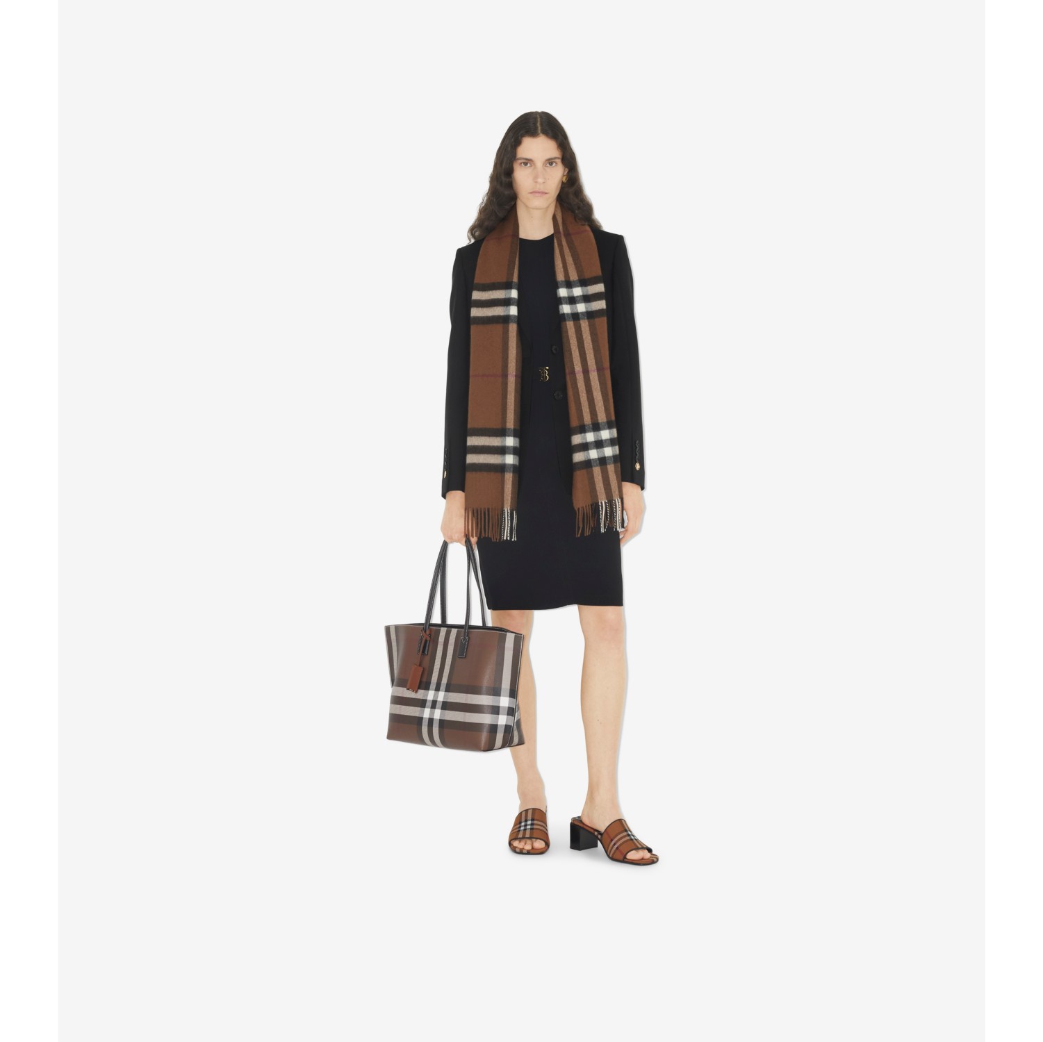 Check Cashmere Scarf in Birch Brown | Burberry® Official