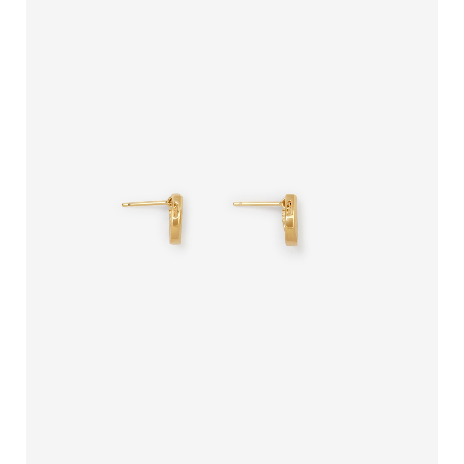 Horseshoe Earrings