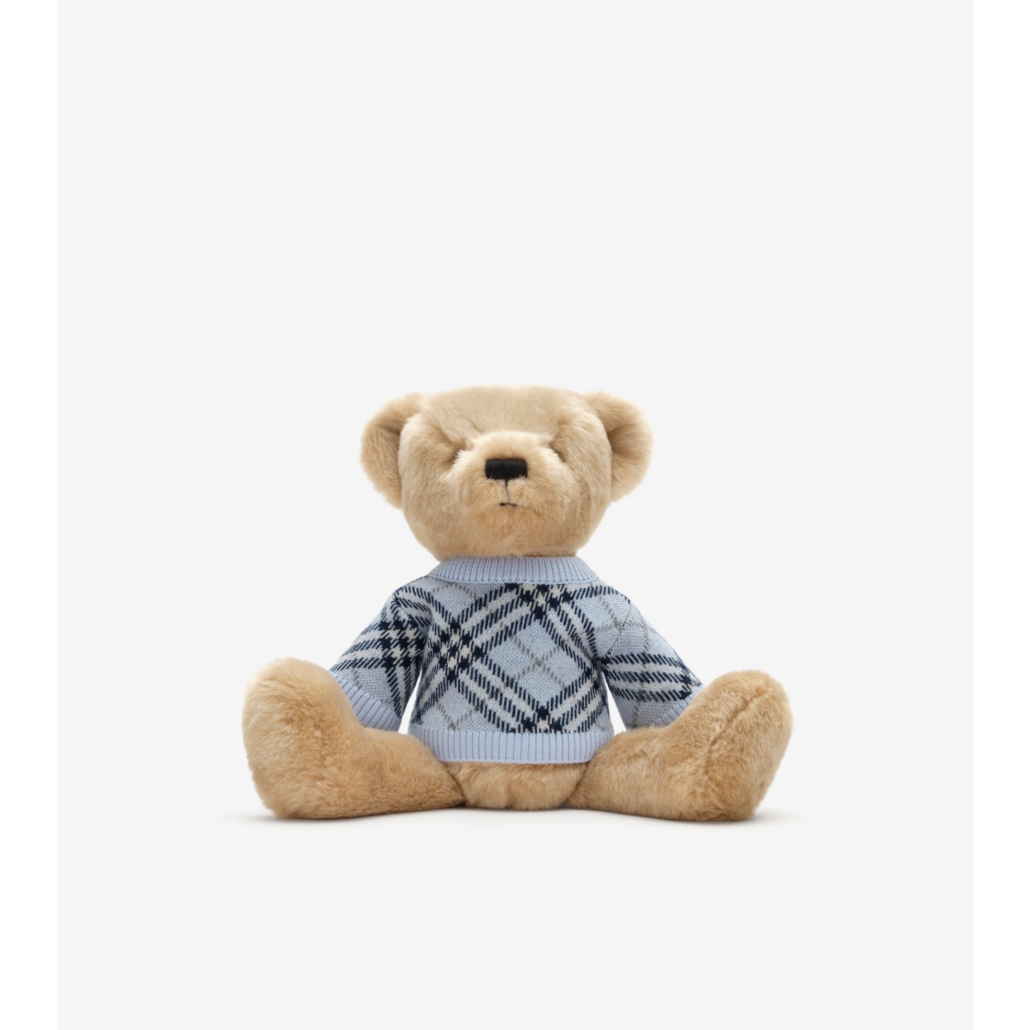 Thomas Bear