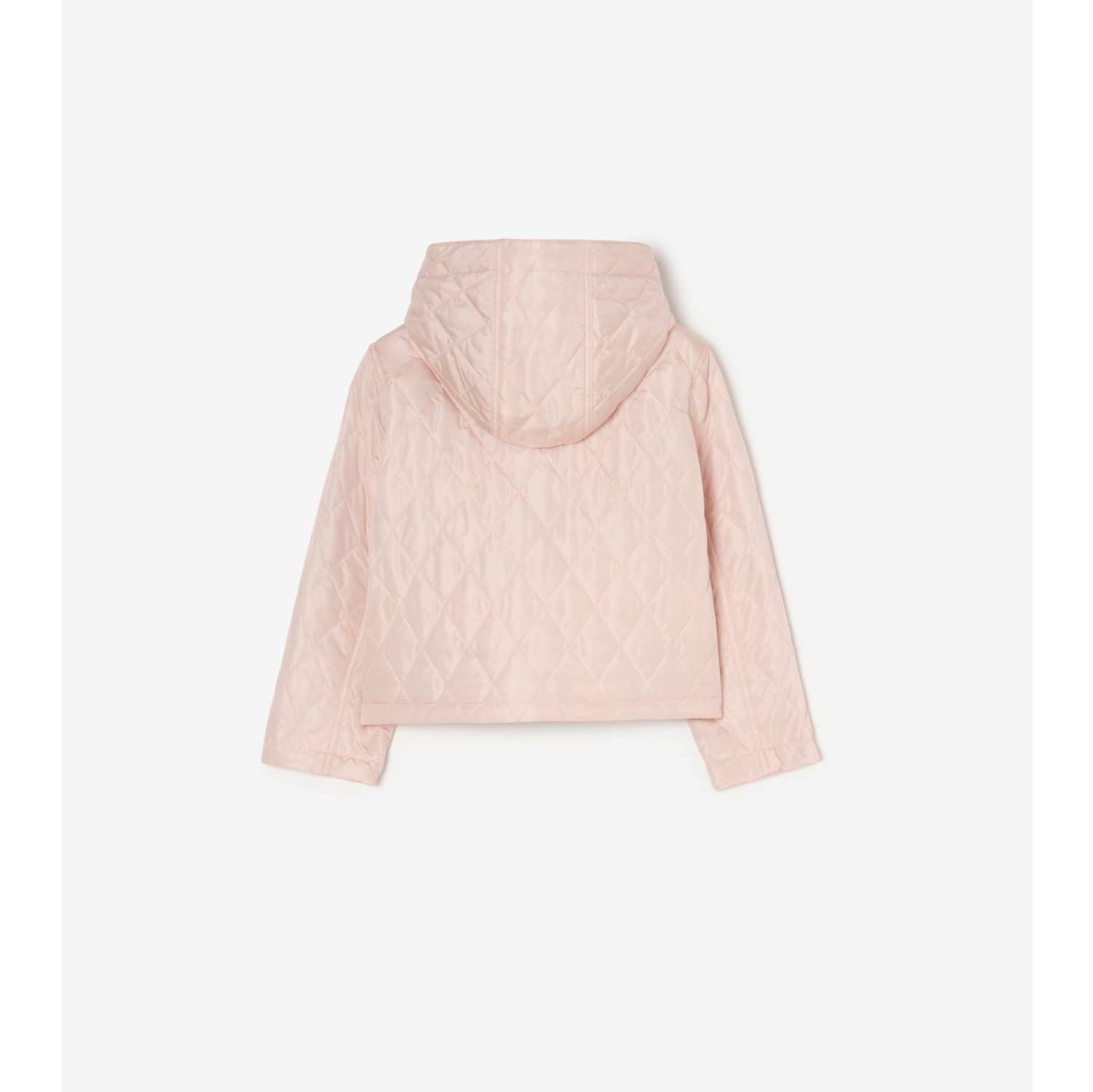 Quilted Nylon Parka
