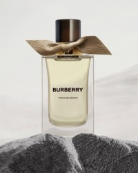 Fragancias Burberry Signatures