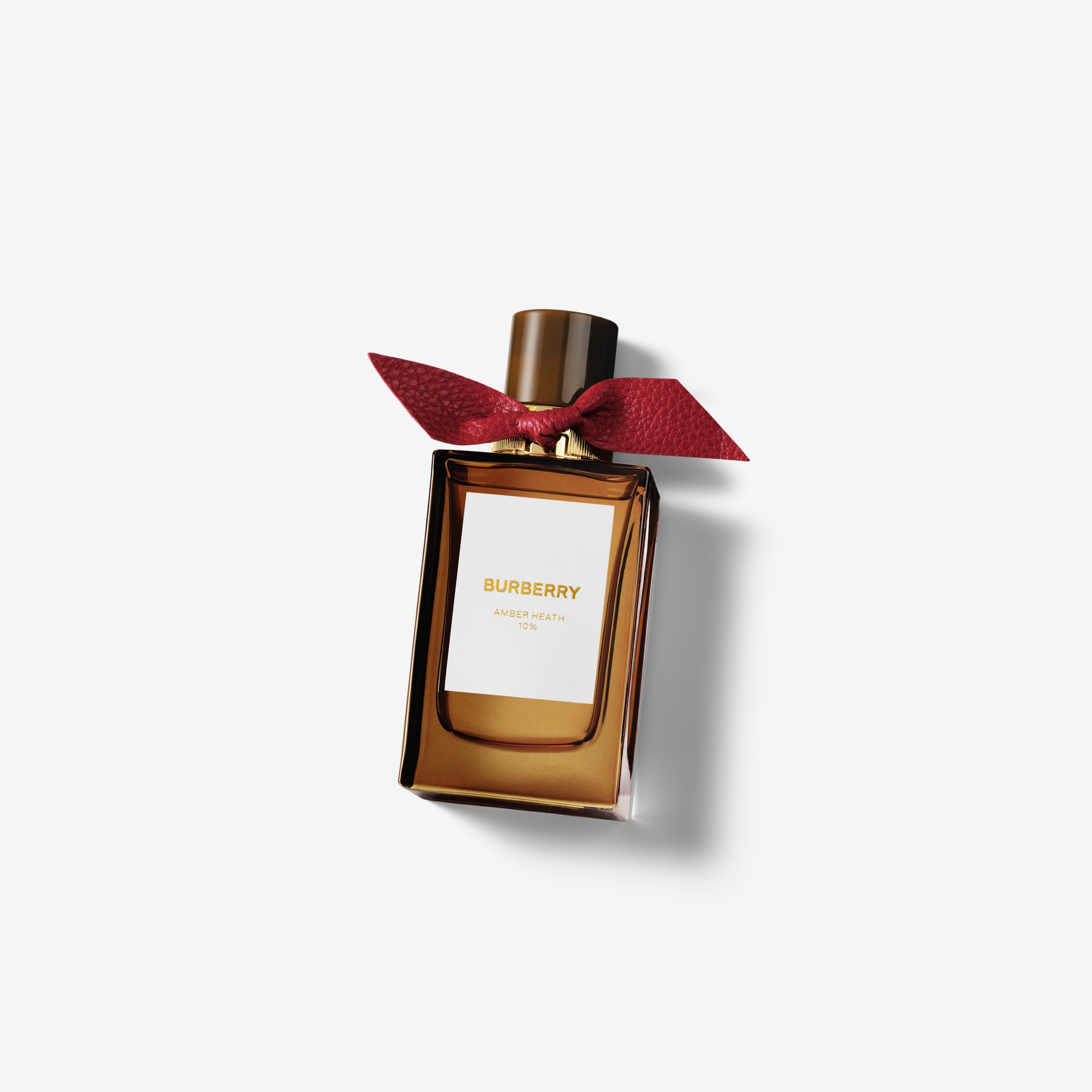 amber heath burberry