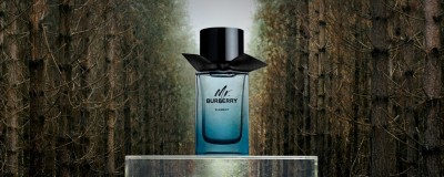 burberry element perfume