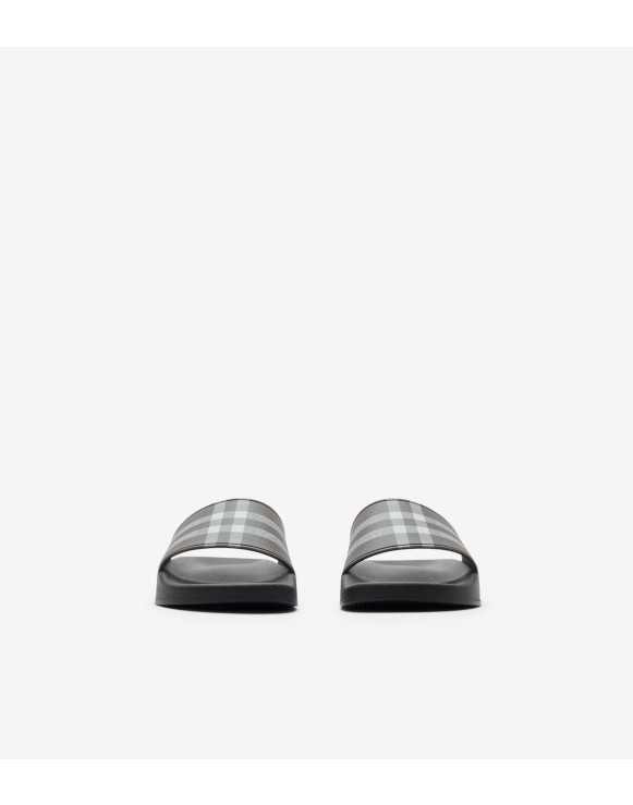 Check Slides