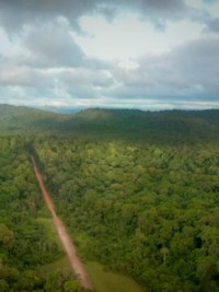 Environment: Earth Day 2022