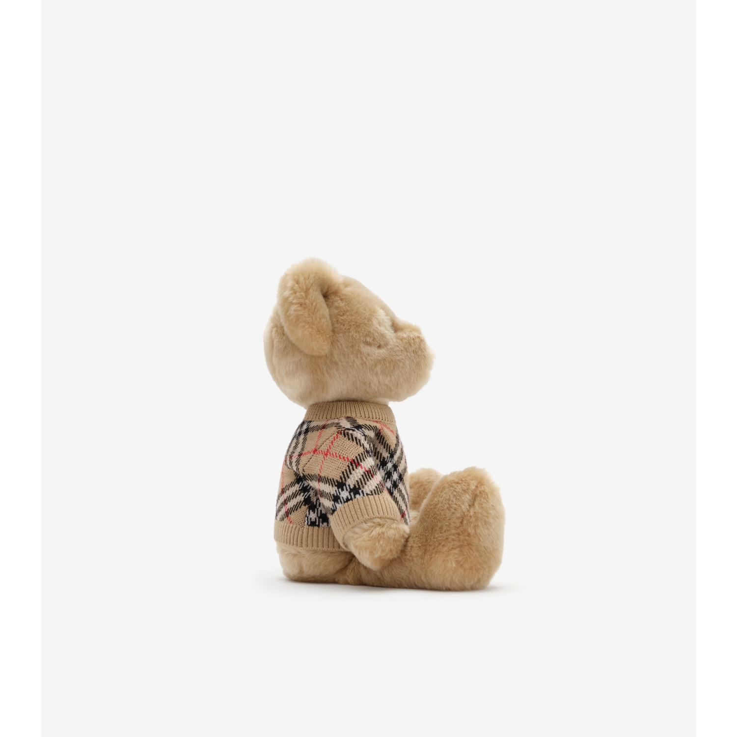 Thomas Bear