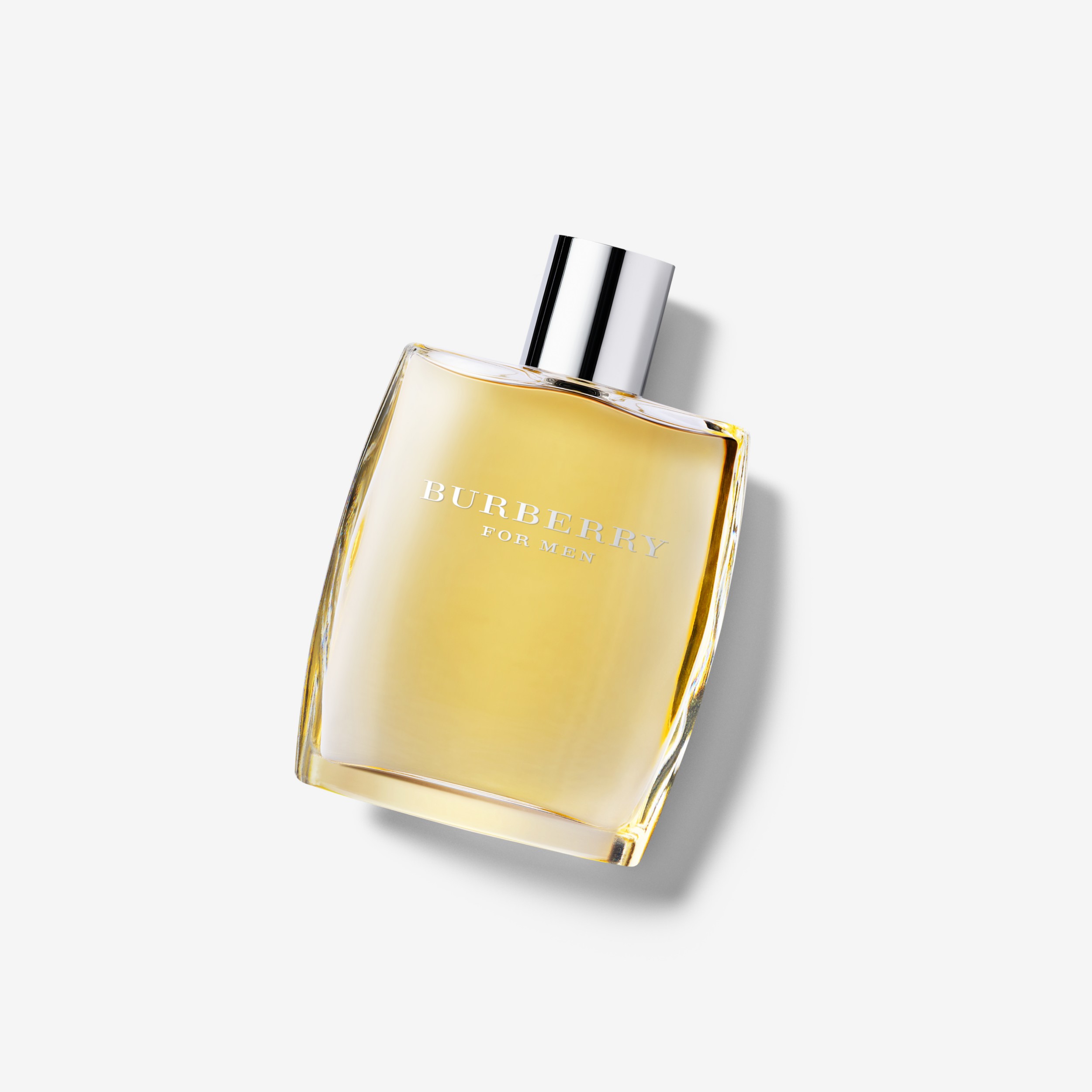 バーバリー フォーメン オードトワレ 100ml (100 Ml) - メンズ | Burberry®公式サイト