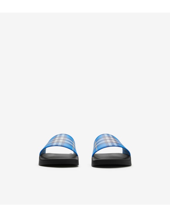 Check Slides