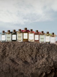 Burberry Signature Fragrances 