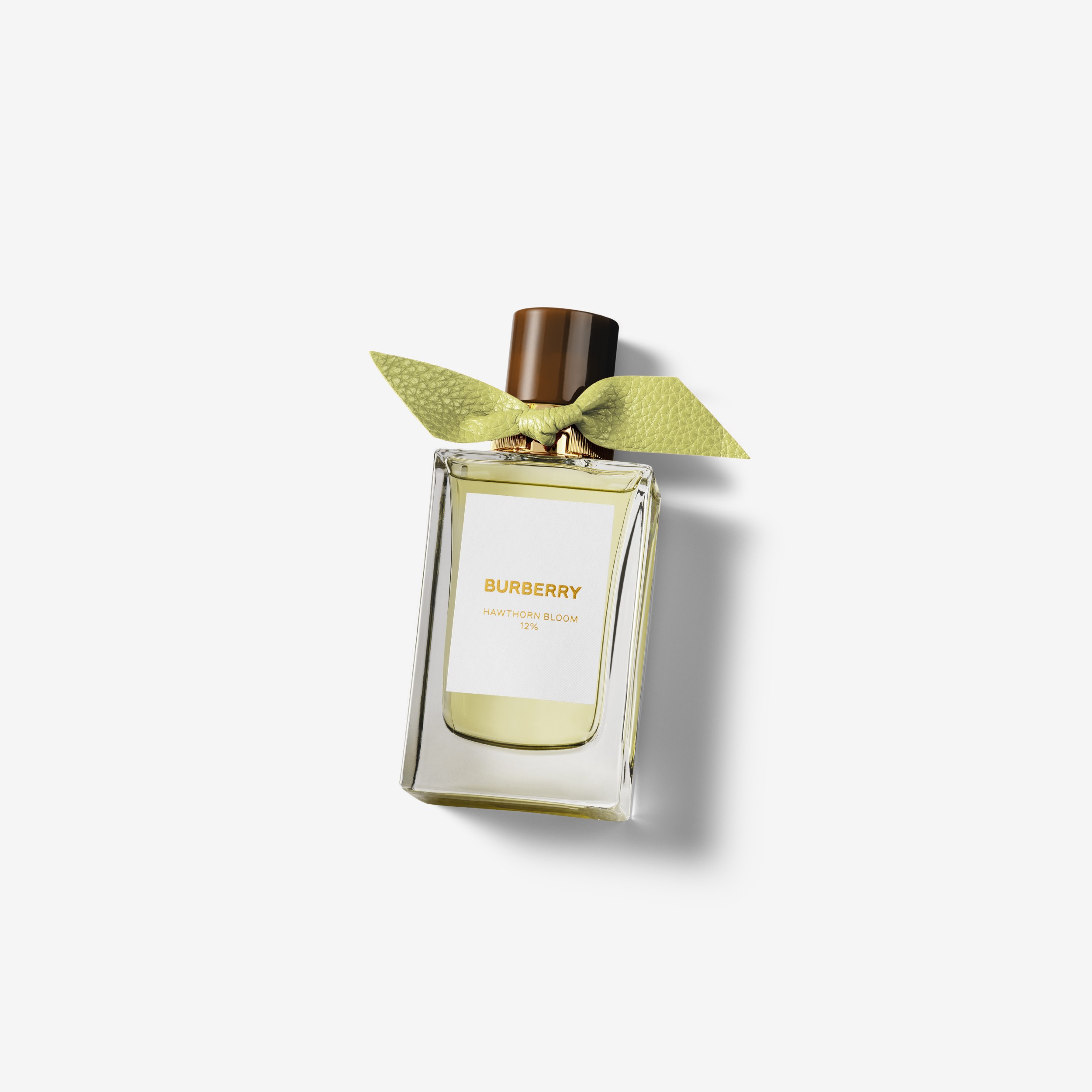 Burberry Signatures Hawthorn Bloom Eau de Parfum 100ml | Burberry® Official