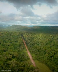 View with trees