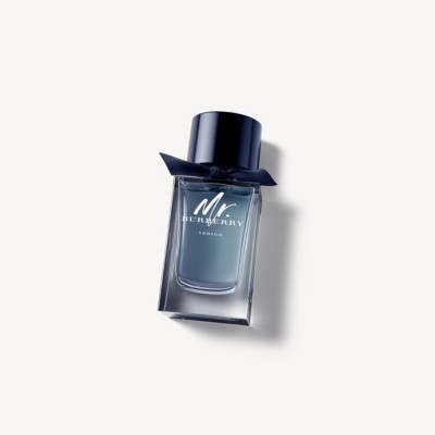 Mr. Burberry Indigo Eau de Toilette 100ml - Men | Burberry Australia