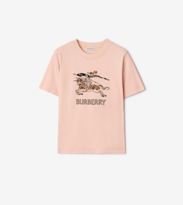 83EBEACD-6A15-4953-B727-