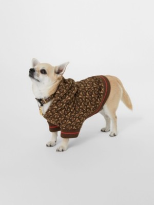 burberry dog hoodie