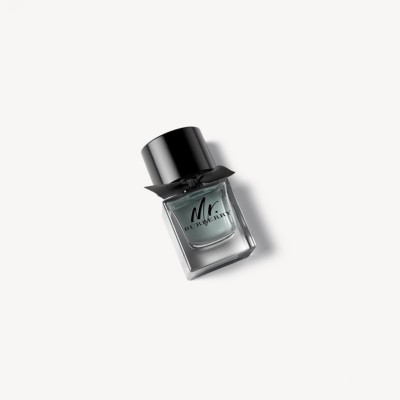 Mr. Burberry Eau de Toilette 50ml - Men | Burberry® Official