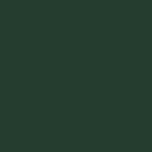 Dark fern green