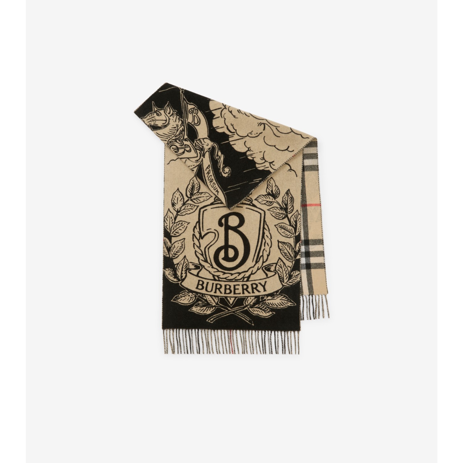 Sciarpa ampia reversibile Stormy Knight
