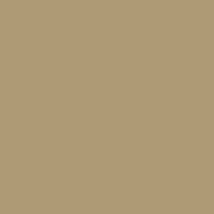 Beige Sparrow