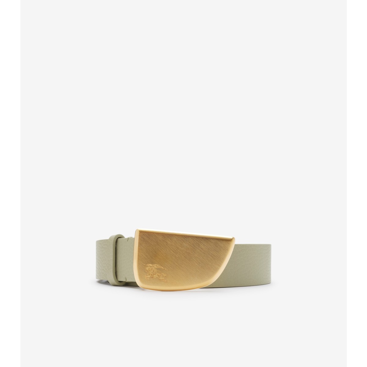 Shop Burberry Leather Shield Belt In Hunter