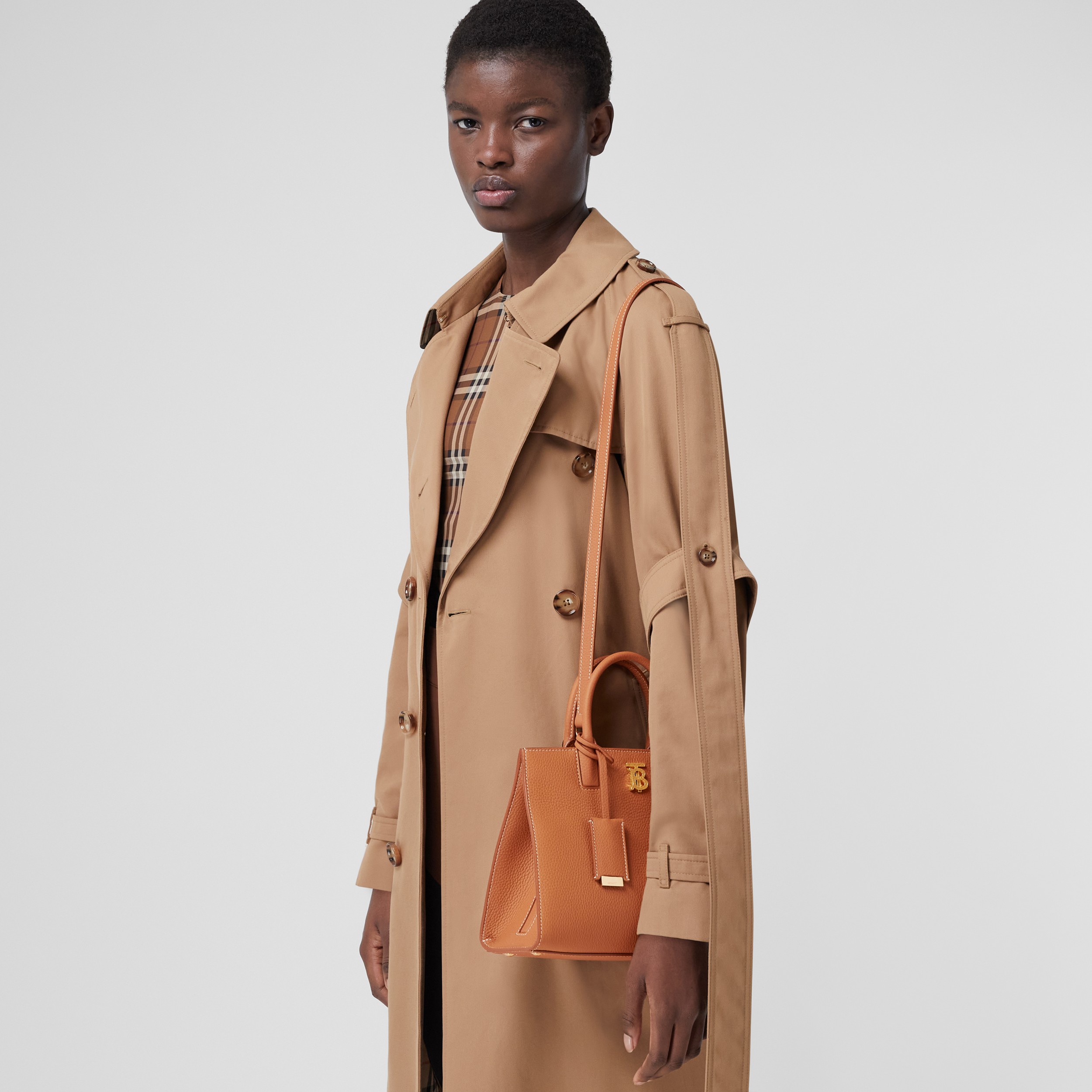 Кожаная сумка Frances, миниатюрный размер (Теплый Красно-коричневый) - Для женщин | Официальный сайт Burberry® - 3