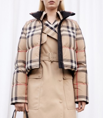 burberry spring jacket