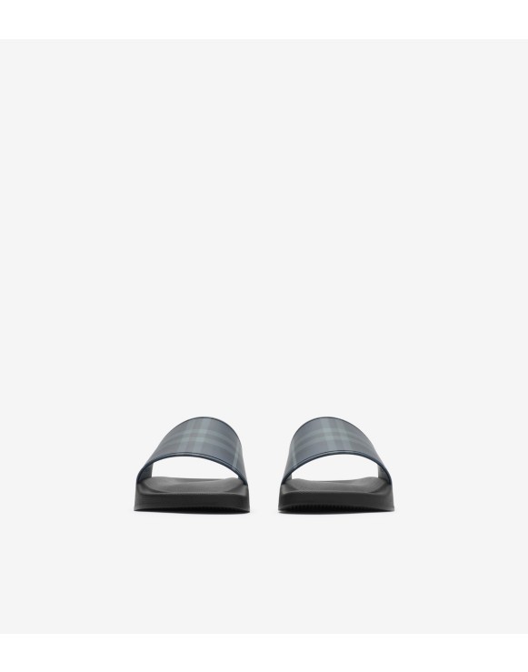Check Slides