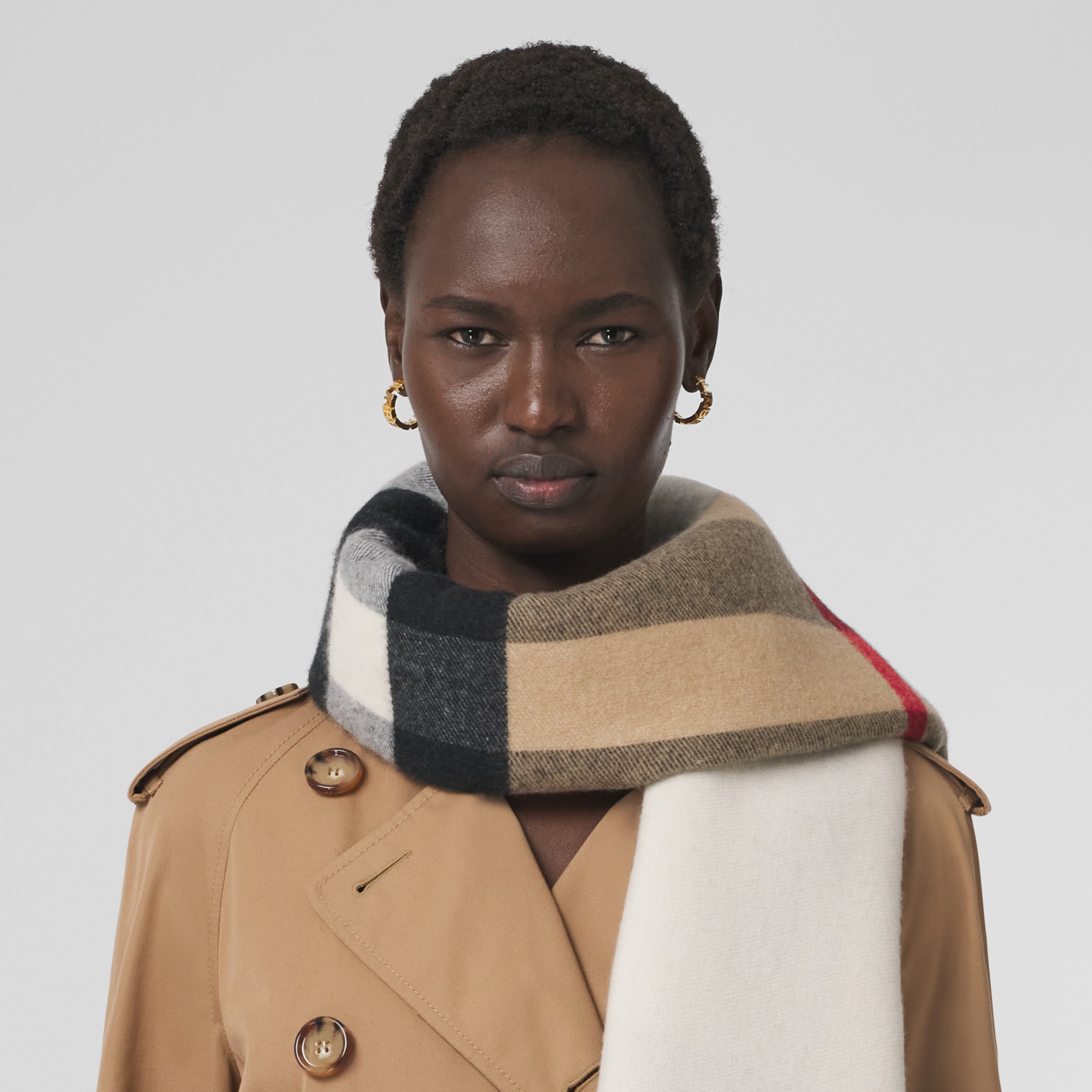 Location Motif Vintage Check Cashmere Scarf in Archive Beige | Burberry ...