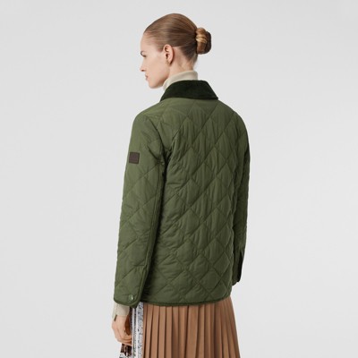 burberry jacket green