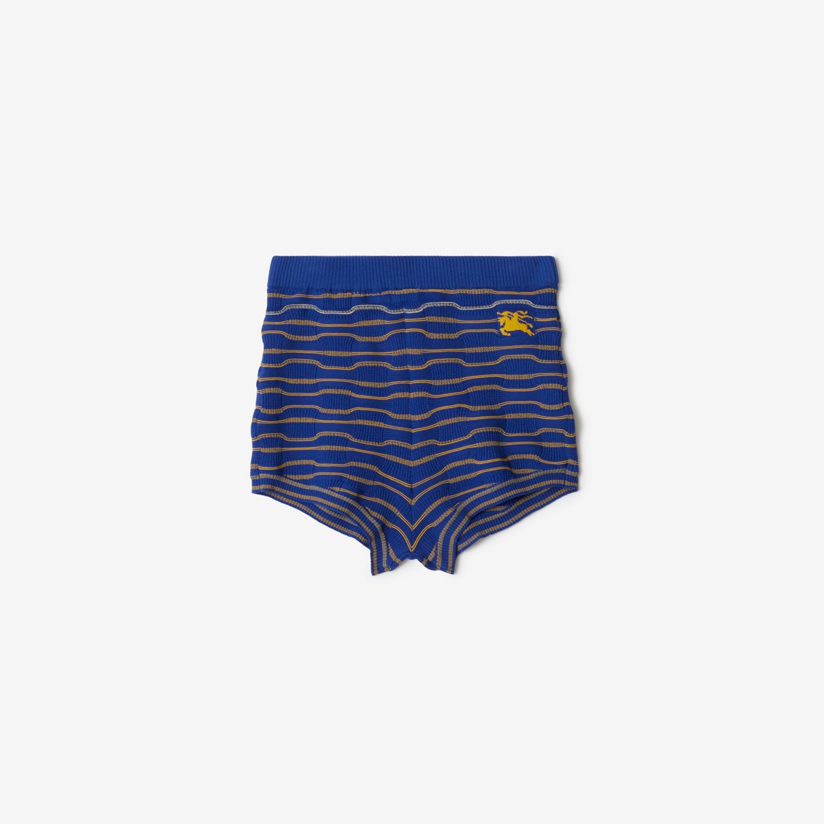 Burberry Striped Cotton Blend Shorts In Blue