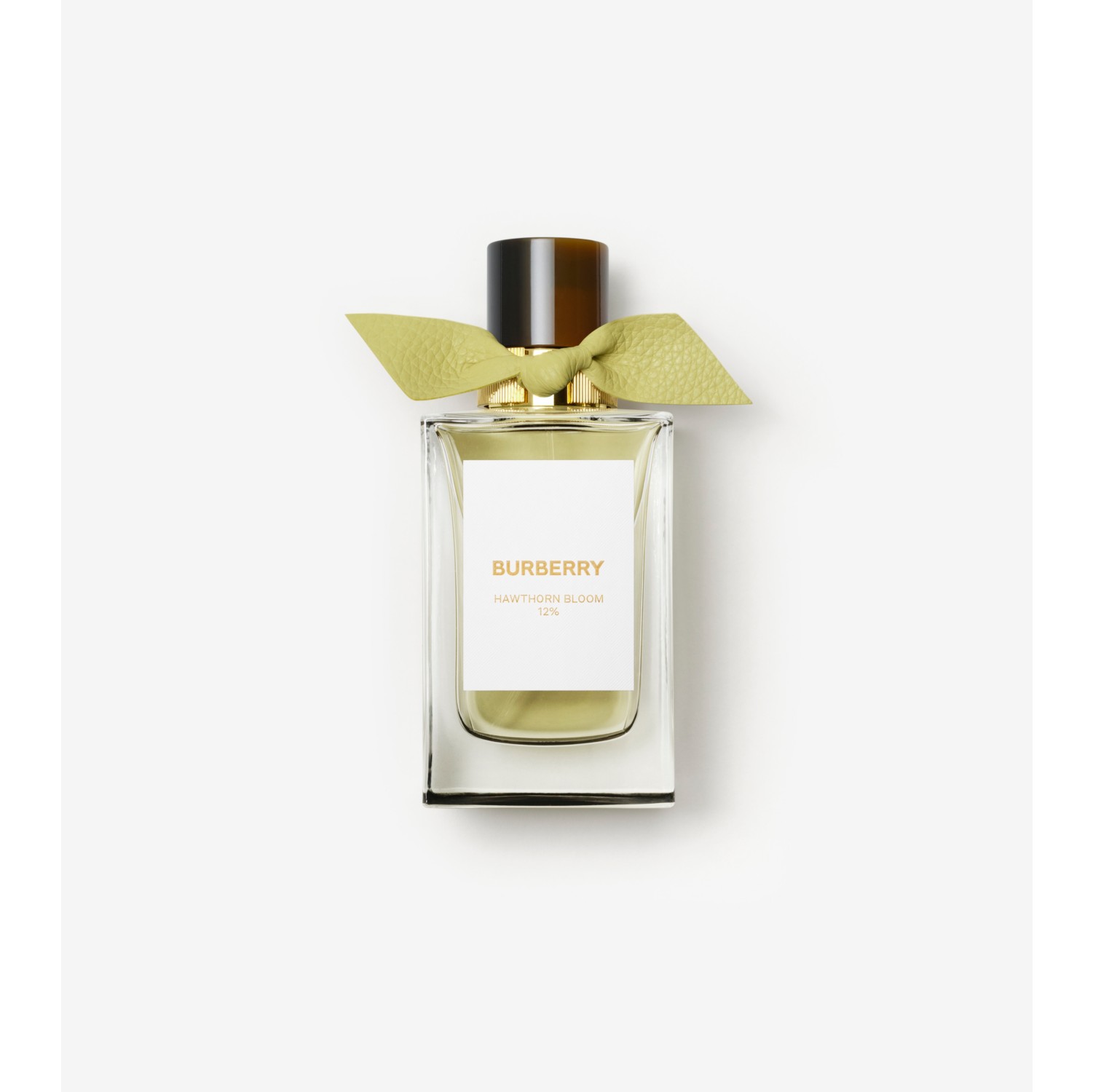 Burberry bloom on sale