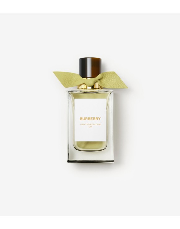 Designer Fragrances for Men and Women Burberry Official