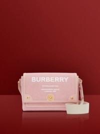 Bright Red and Dusky Pink Horseferry Print Canvas Note Bag