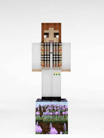 Skin Pack 1 : r/Minecraft