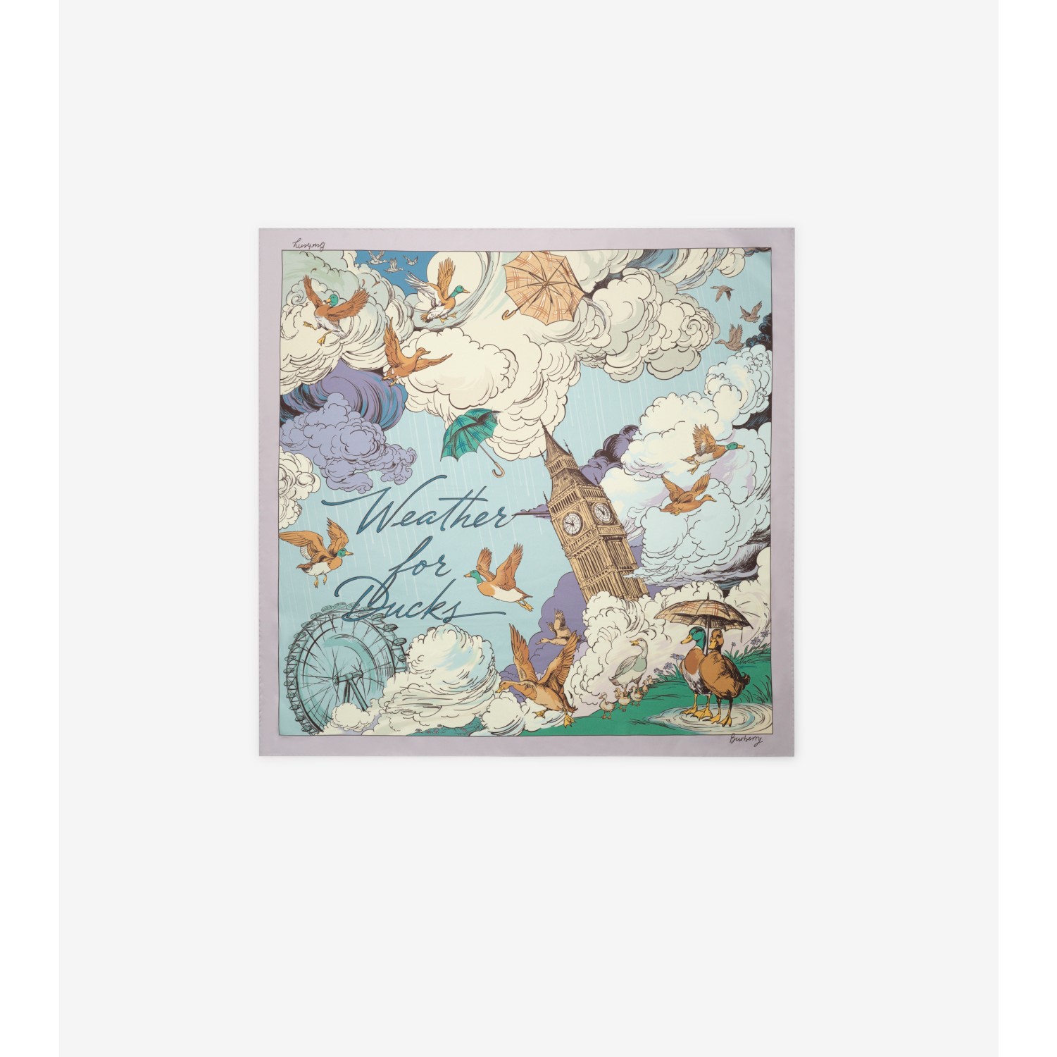Weather For Ducks Silk Scarf