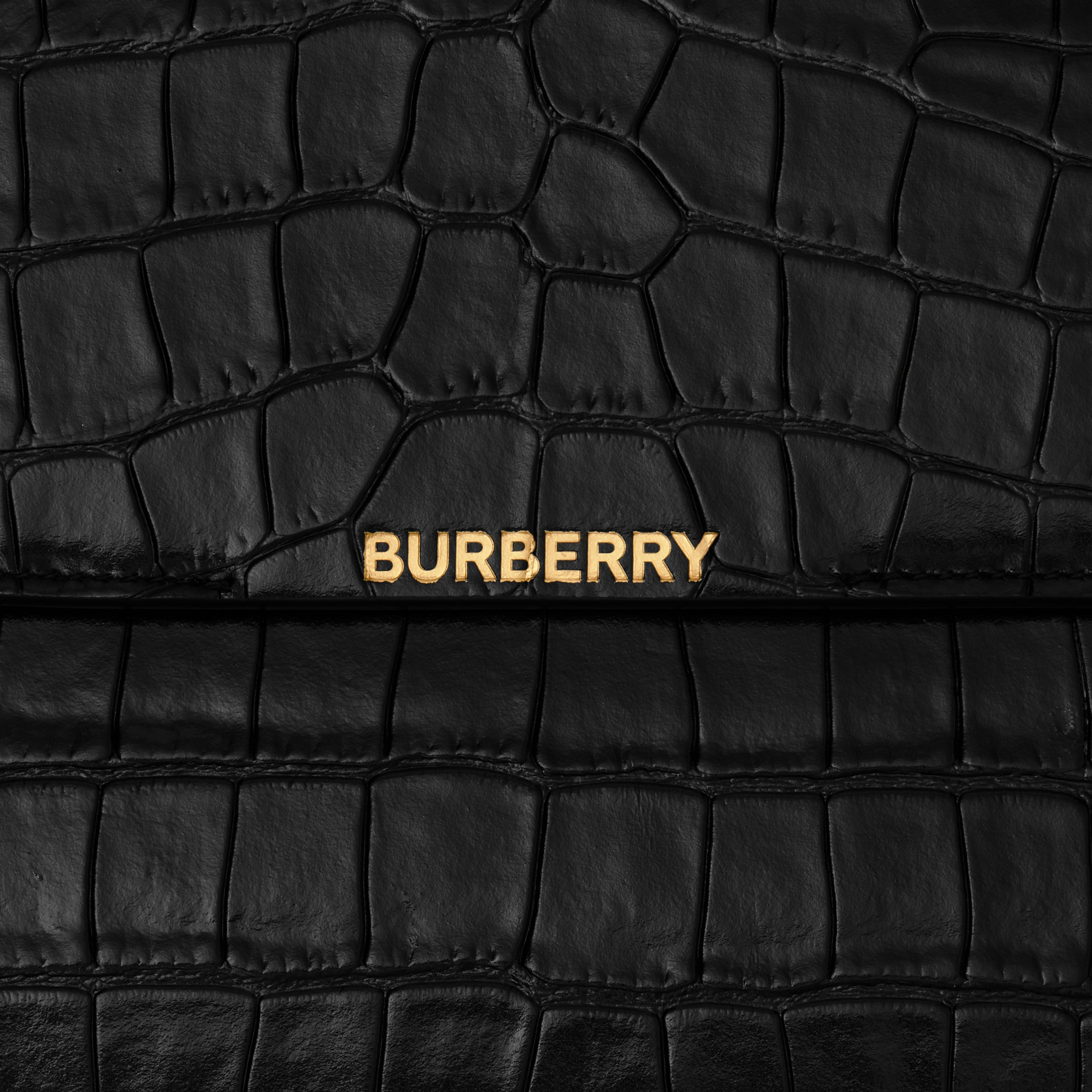 Embossed Leather Catherine Shoulder Bag in Black - Women | Burberry® Official - 2