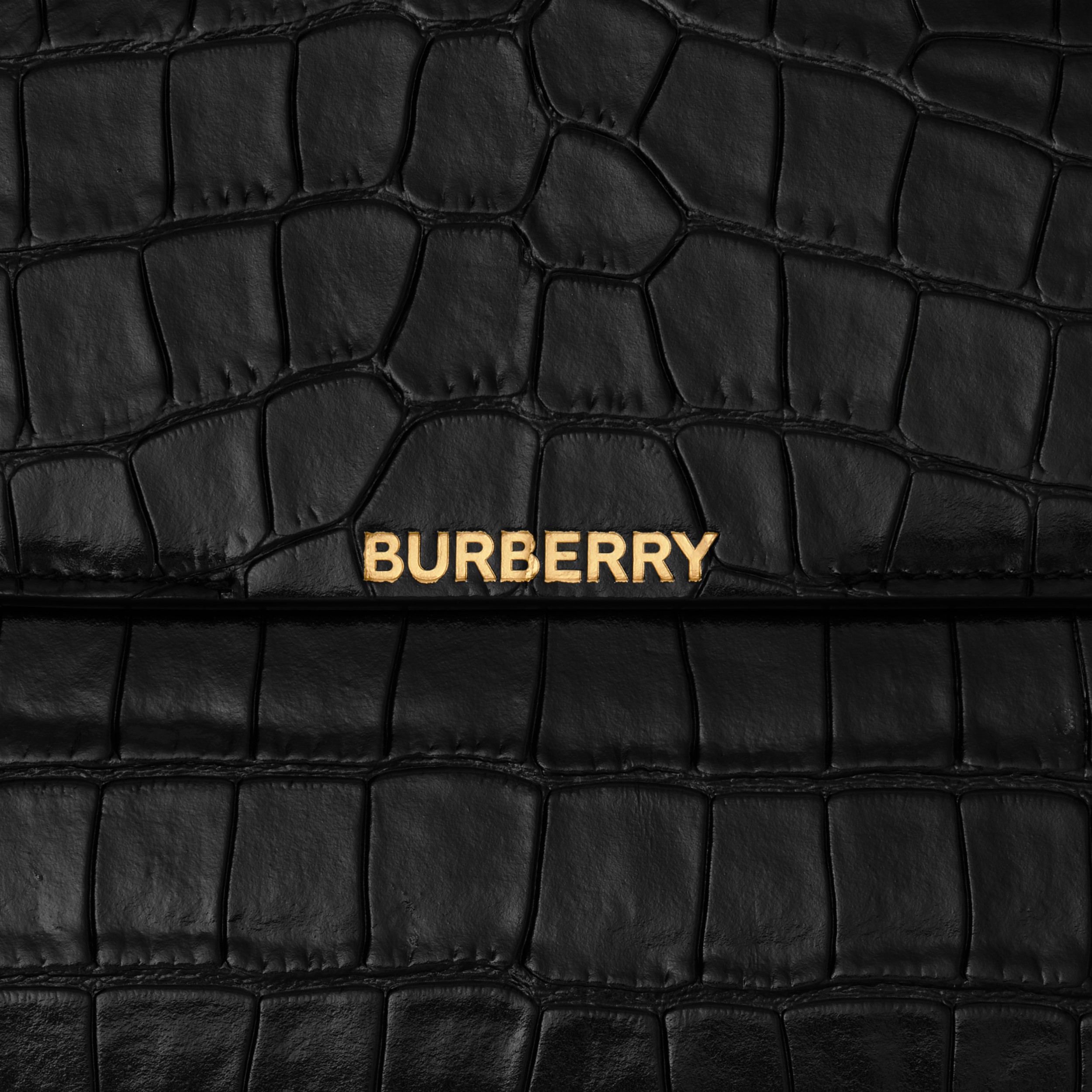 Embossed Leather Catherine Shoulder Bag in Black - Women | Burberry® Official - 2