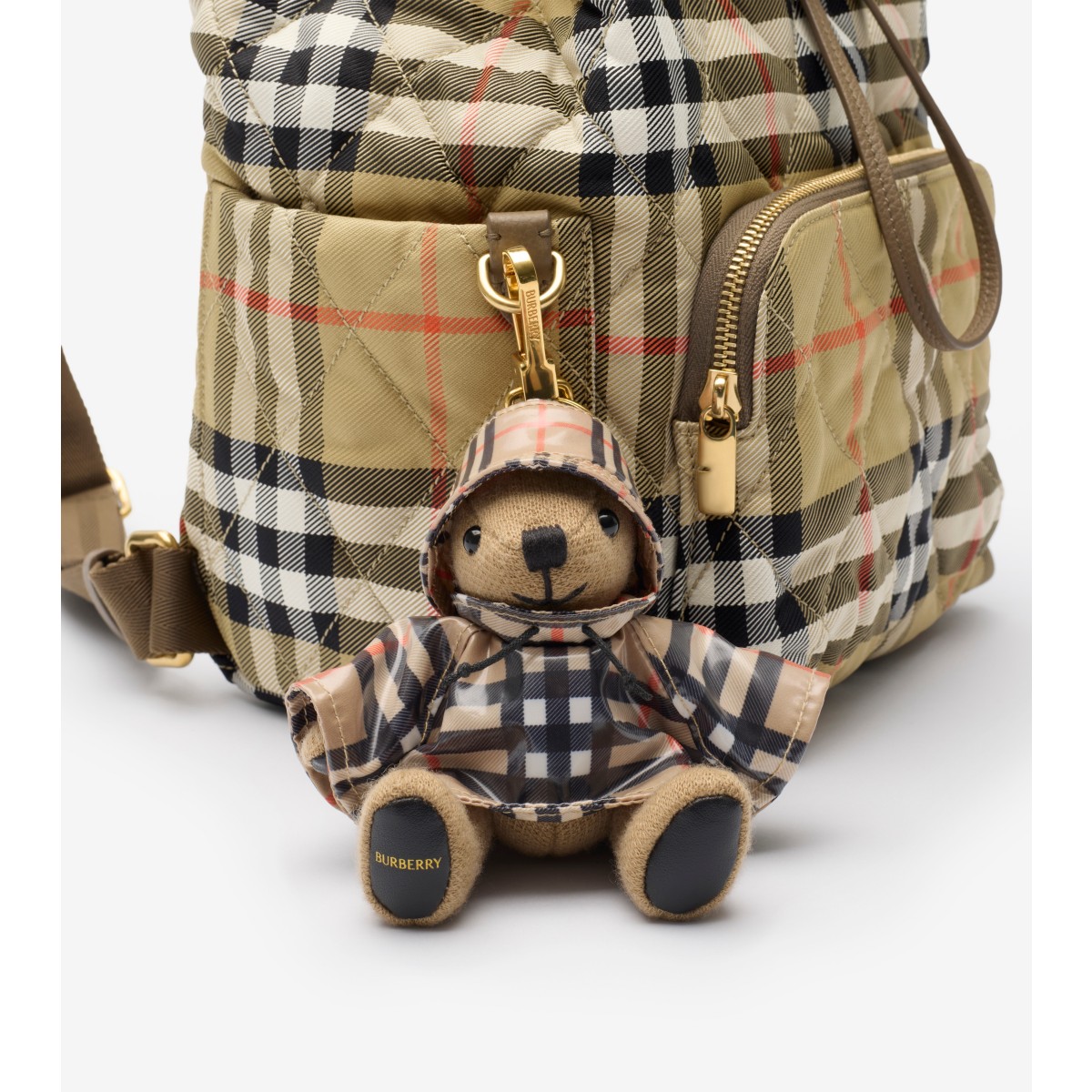  Check Thomas Bear Charm