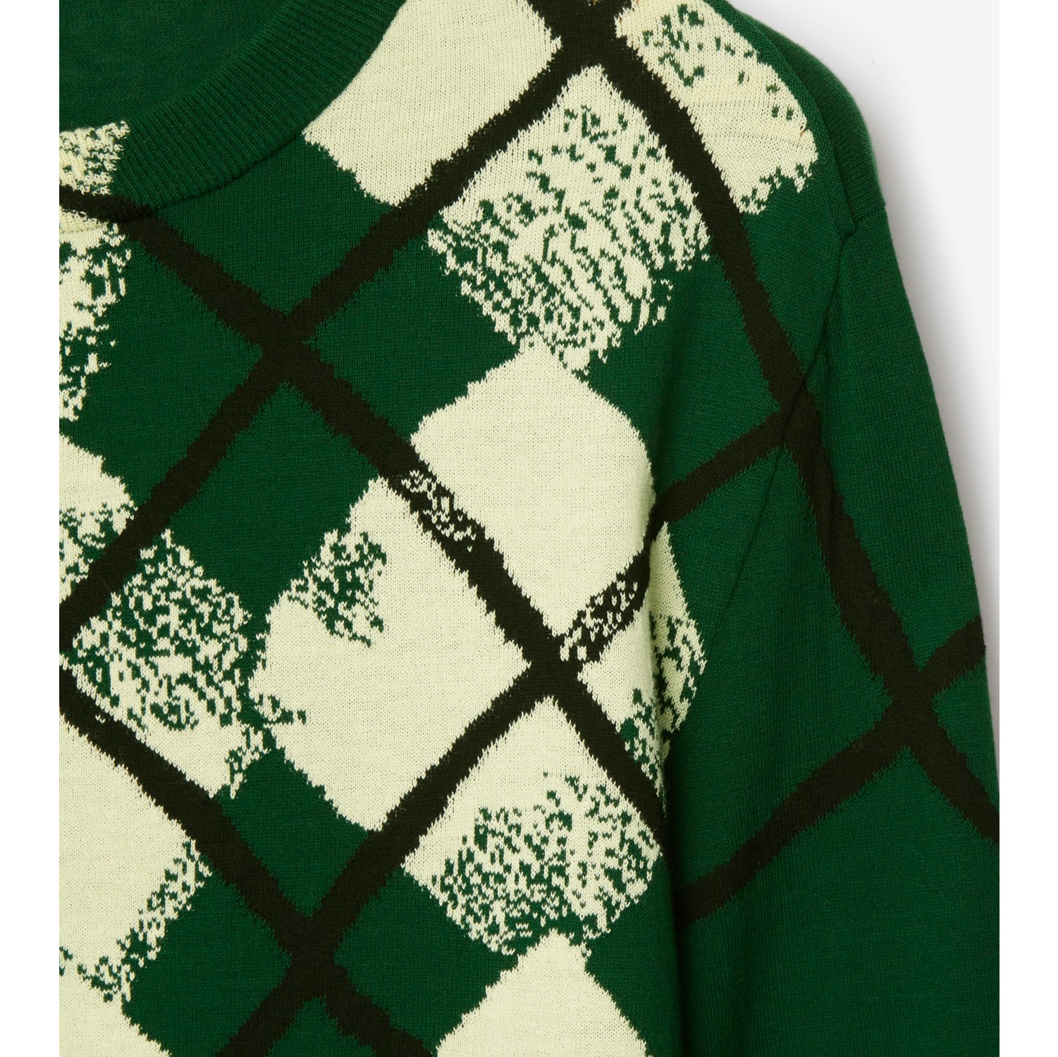 Argyle Cotton Sweater in Ivy - Men | Burberry® Official