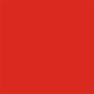 Tulip red