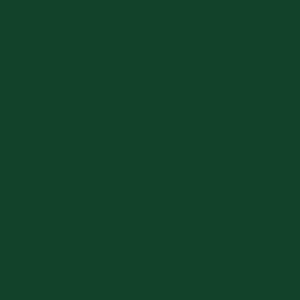 Dark fern green/knight