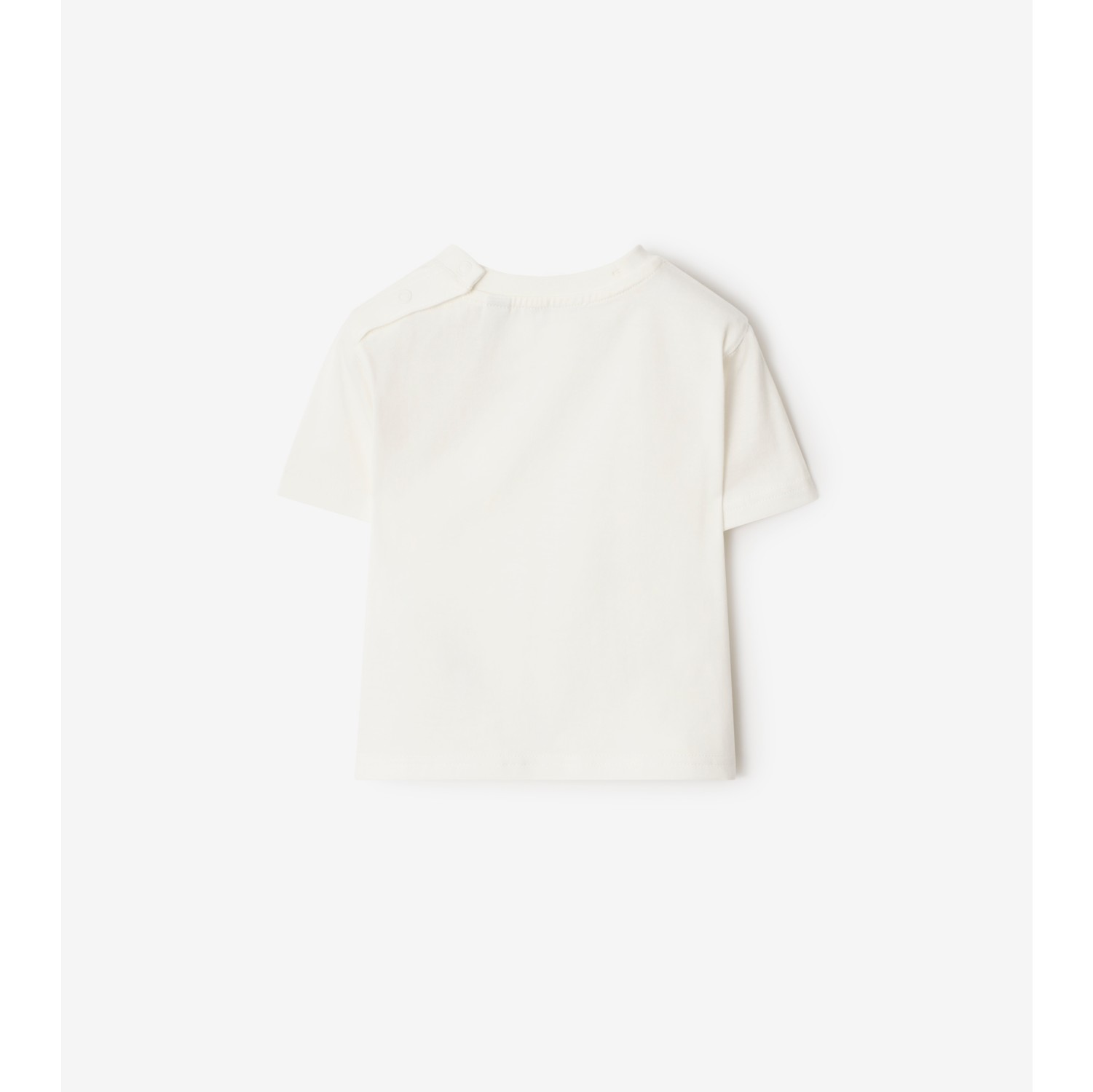 Surfer Bear Cotton T-shirt