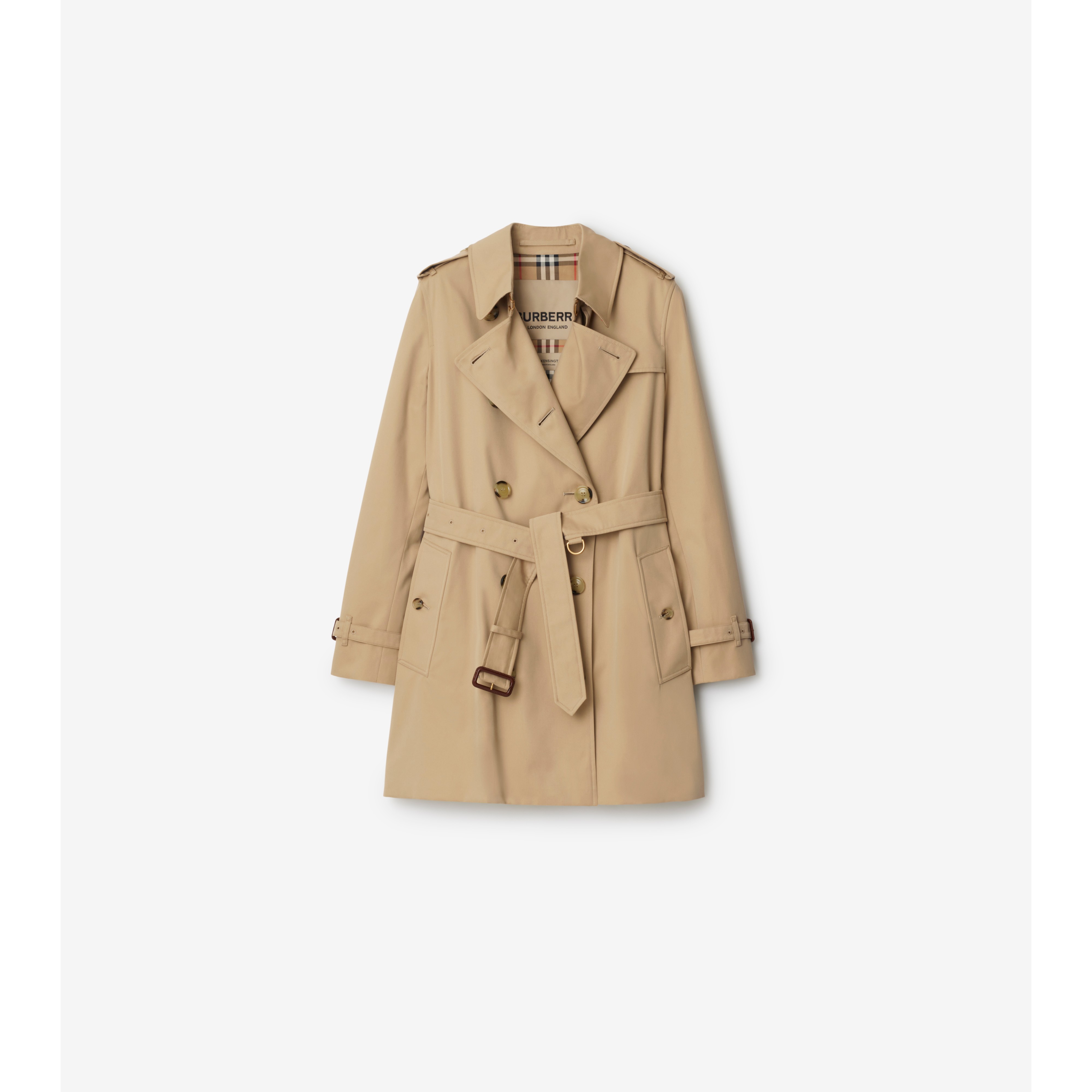 Trench Coat