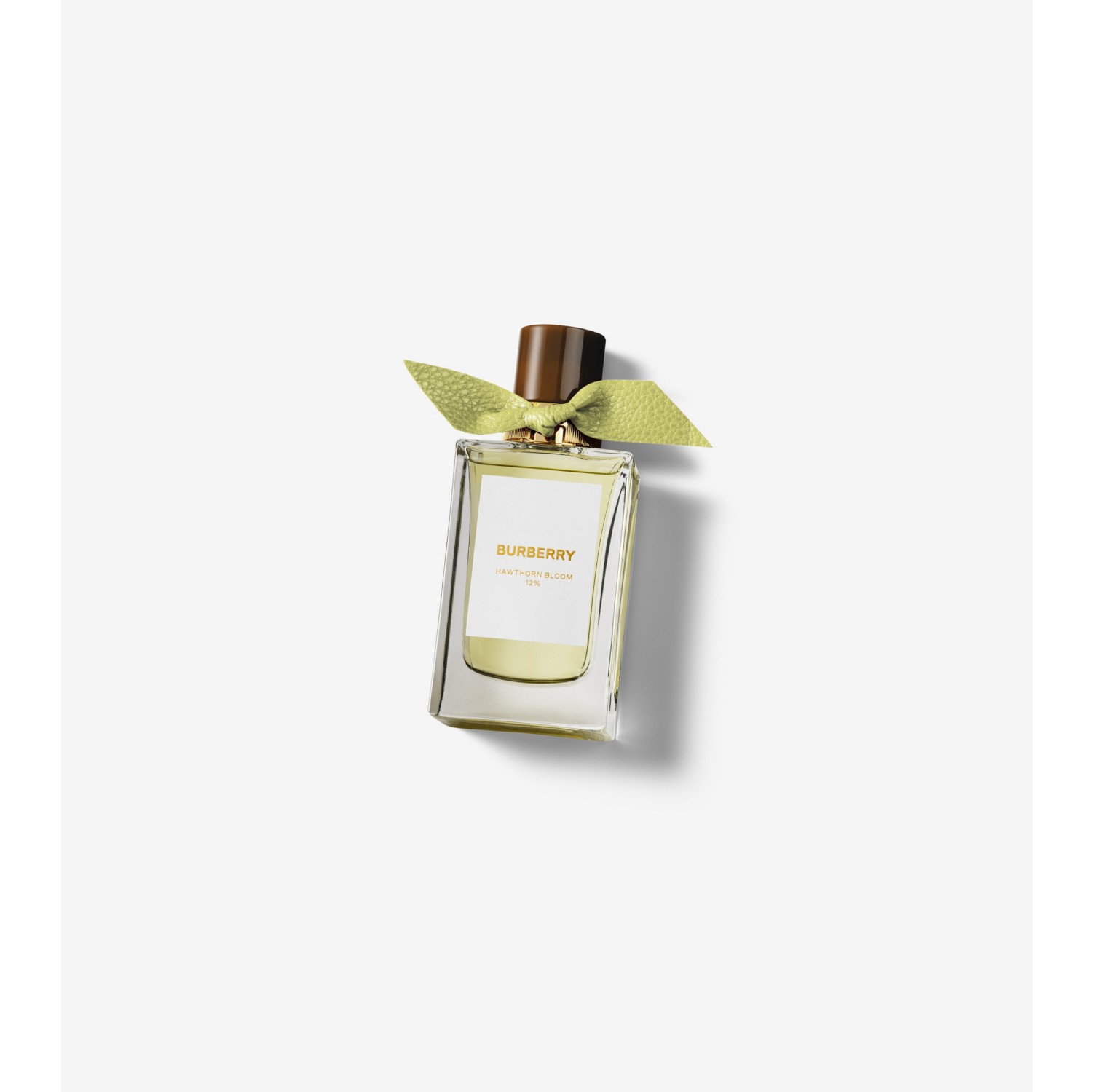 Burberry Signatures Hawthorn Bloom Eau de Parfum 100ml | Burberry® Official