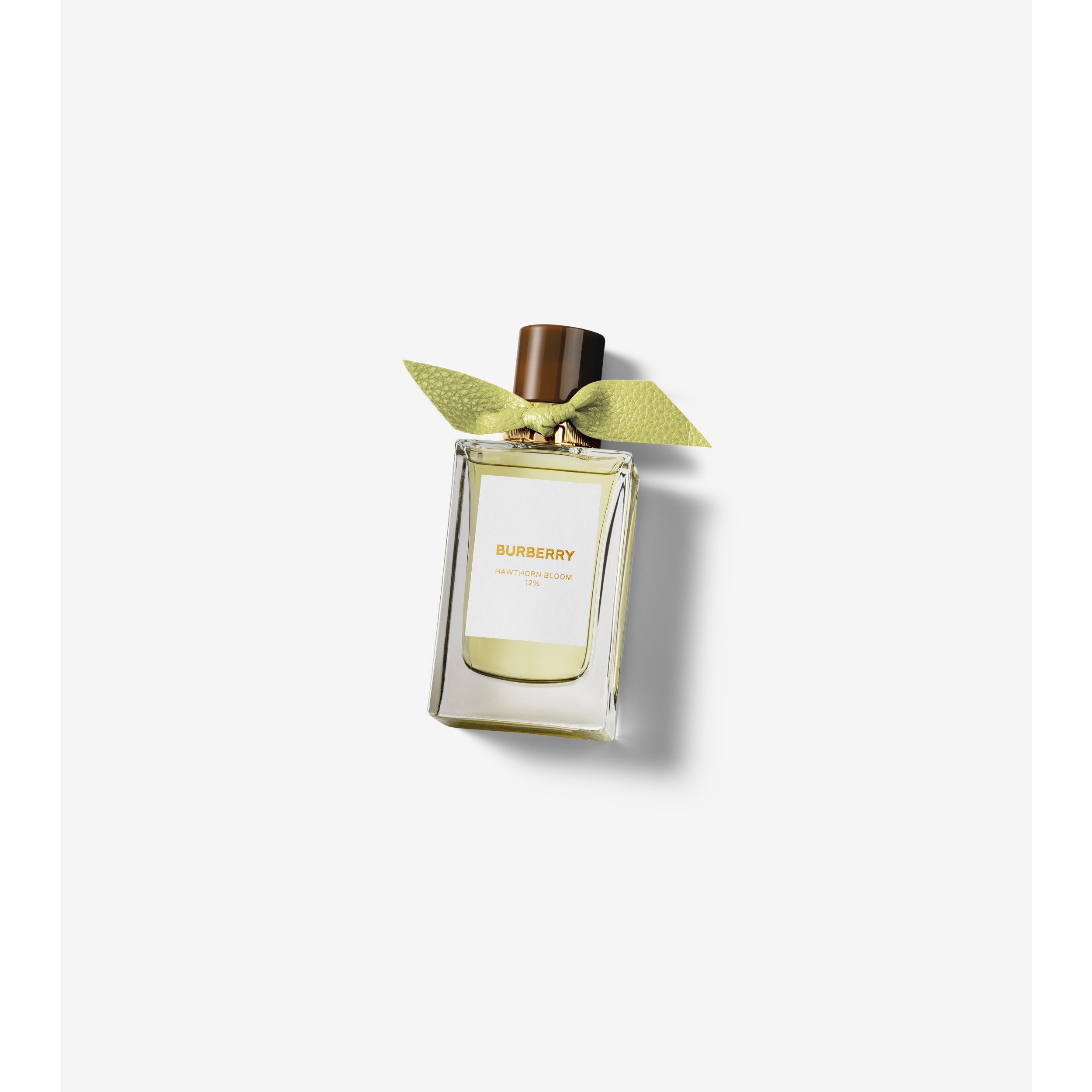 Burberry Signatures Hawthorn Bloom Eau de Parfum 100ml | Burberry® Official