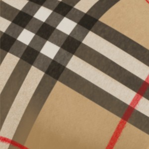Wide Reversible EKD Cashmere Scarf in Archive beige