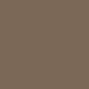 Vole brown