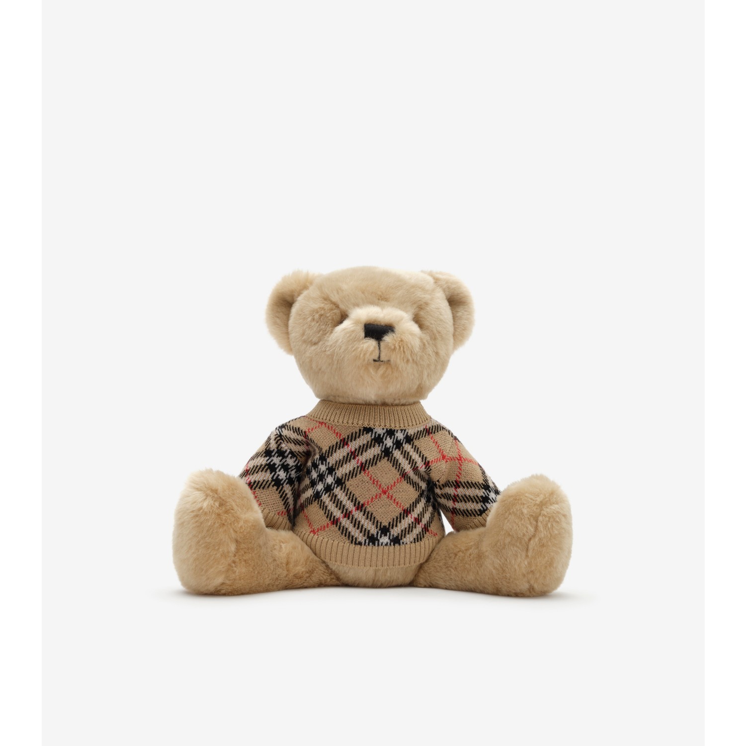 Thomas Bear