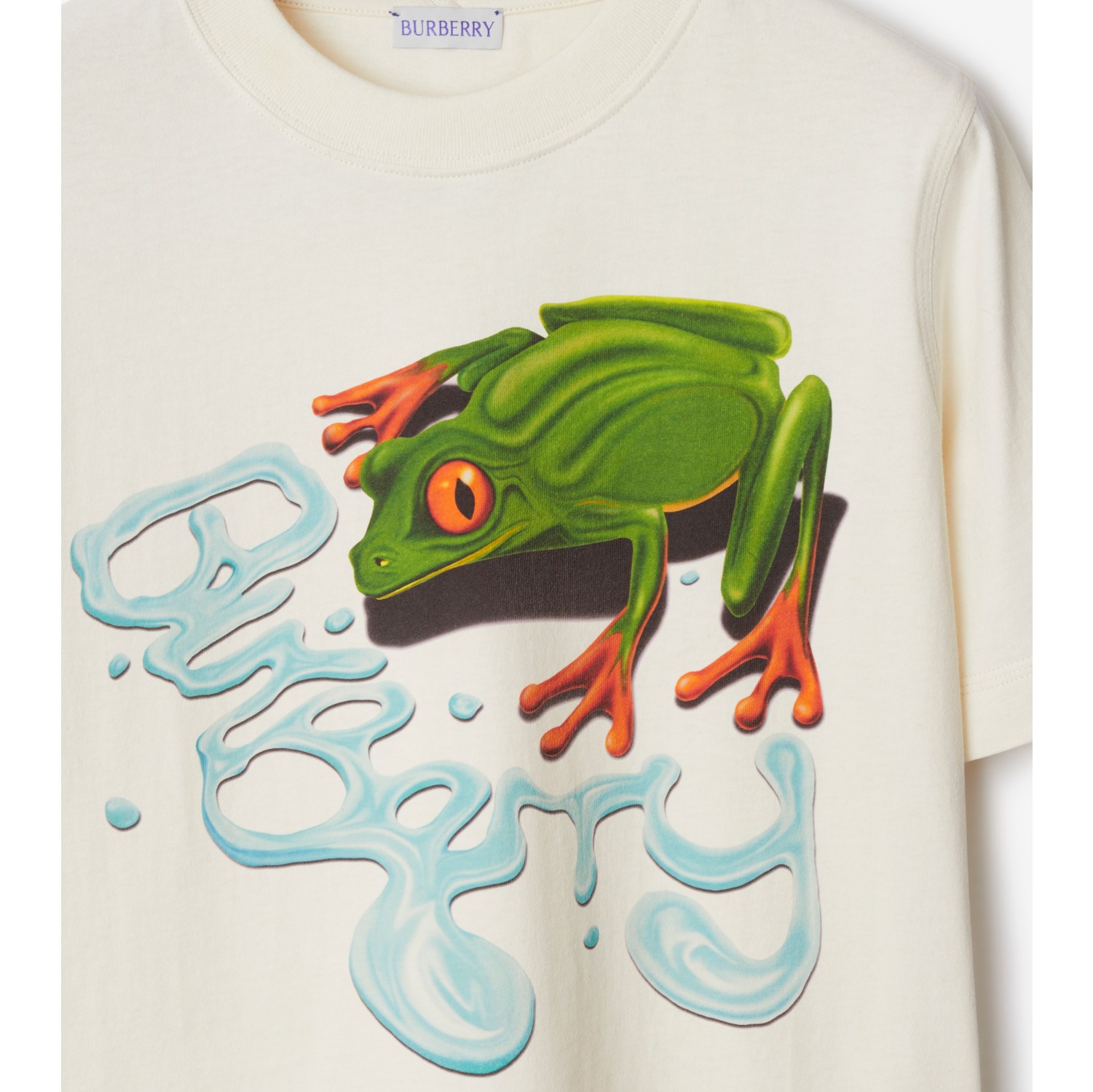 fireberry t shirt