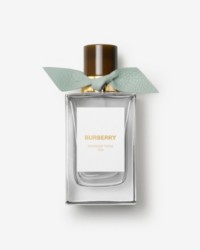 Burberry Signatures Fragrance Windsor Tonic Bottle