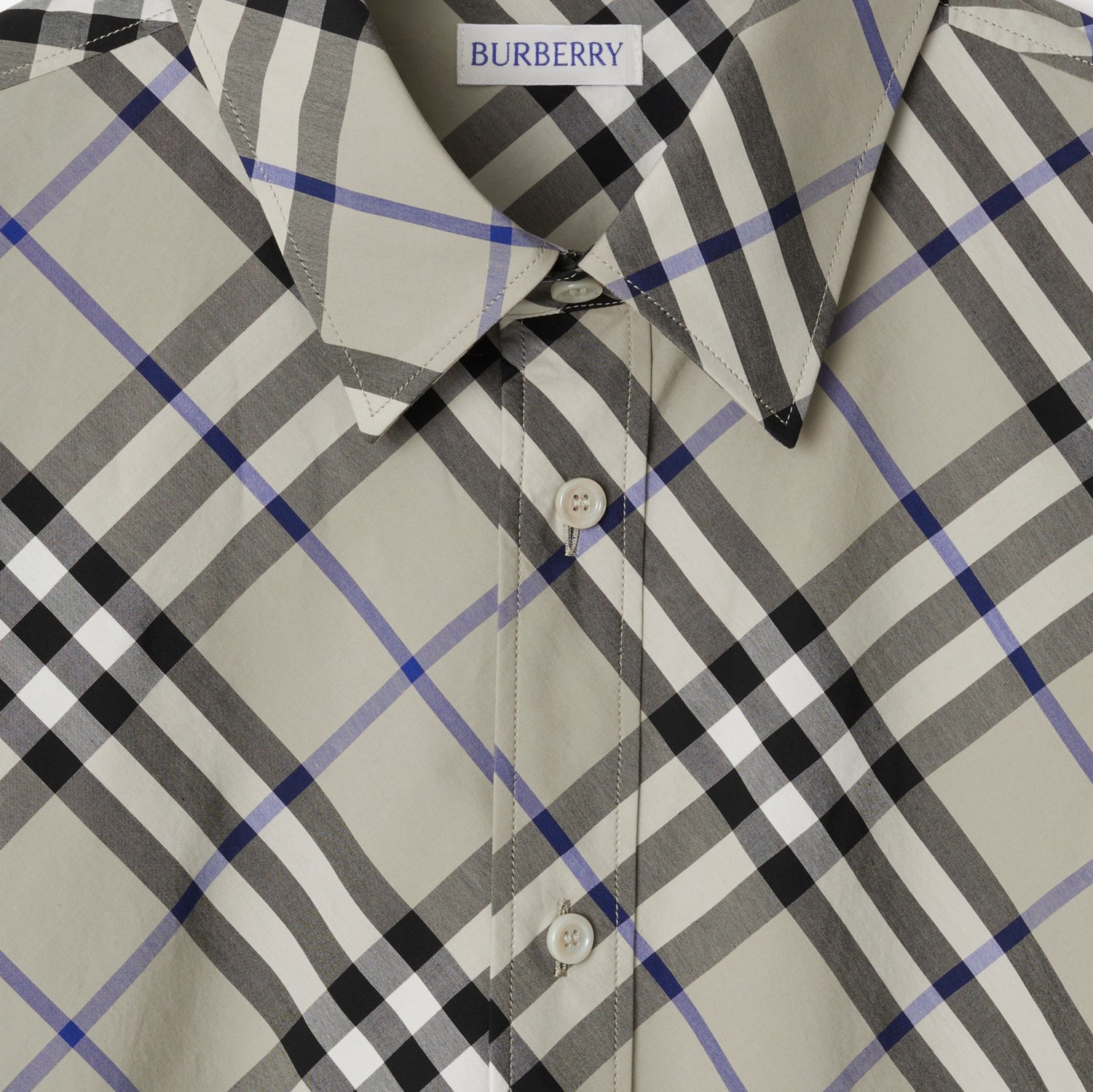 Regular Fit Check Cotton Shirt in Lichen - Men | Burberry Regular Fit Check Cotton Shirt in Lichen - Men | Burberry